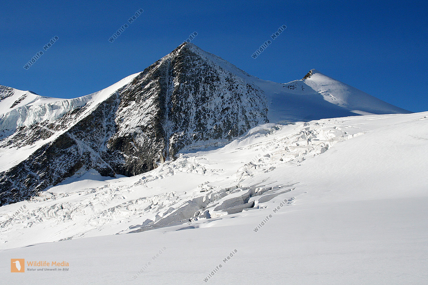 Bestellen Gletscher (Gletscher) Bild Bildagentur