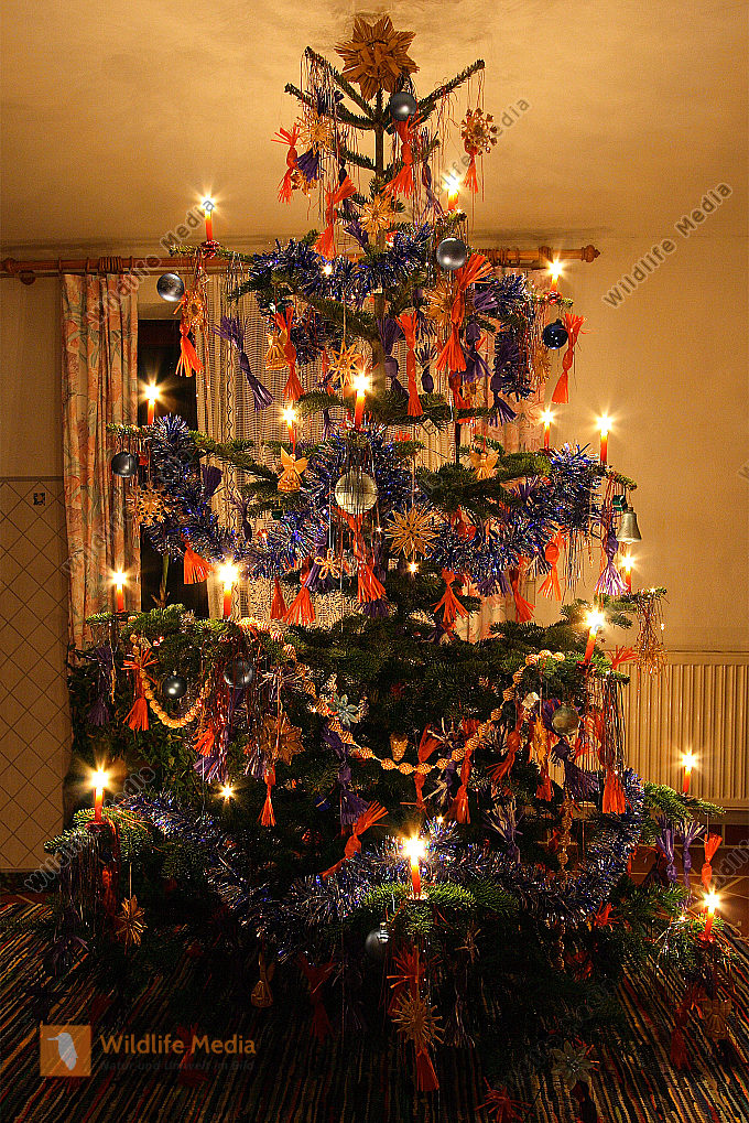 Bilder Christbaum Kostenlos 2025 Cass Christabella