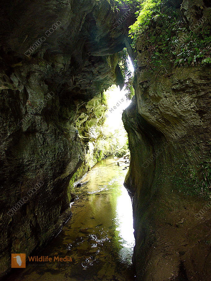 Schlucht