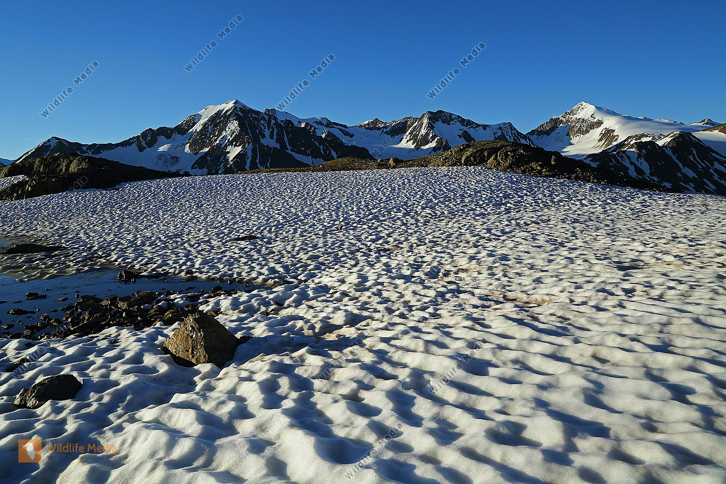 Bestellen - Similaun mit Ötztaler Alpen (Similaun mit Ötztaler Alpen ...