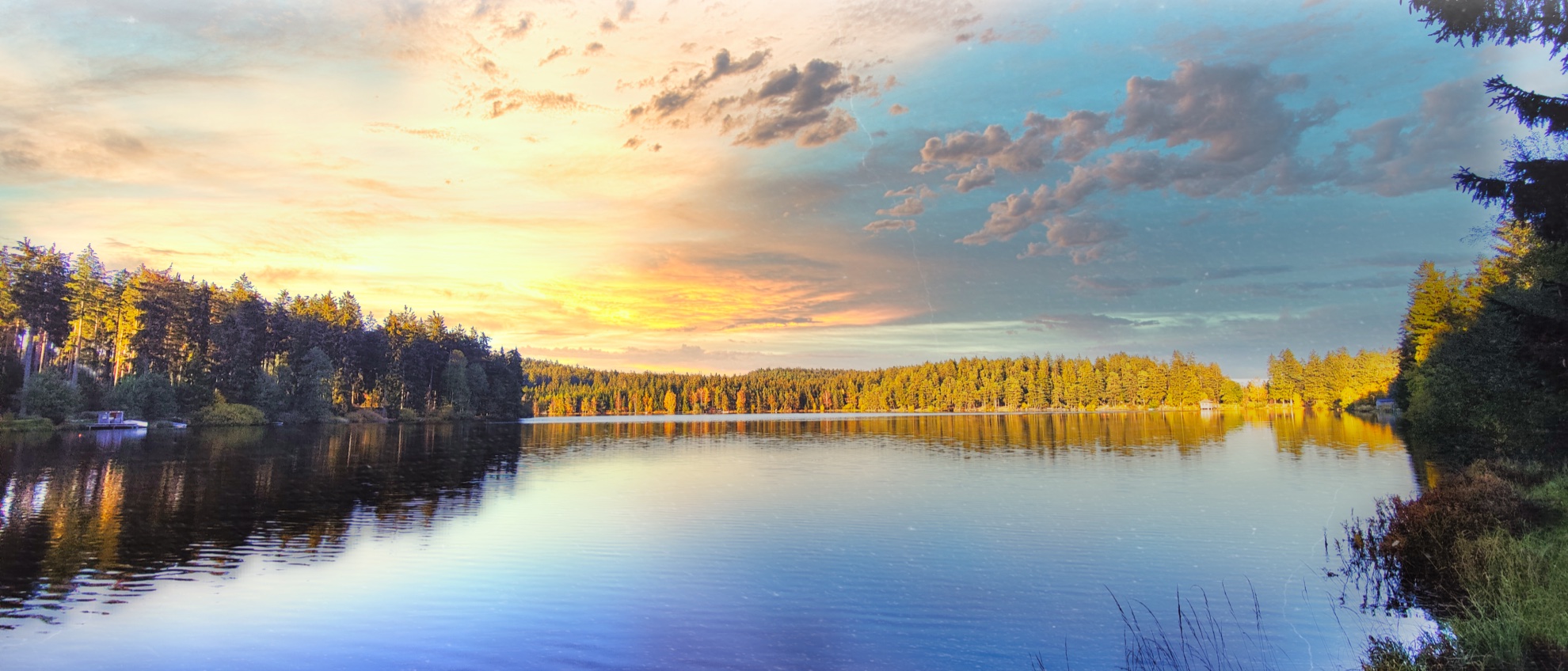 Wildlife Media Bildagentur