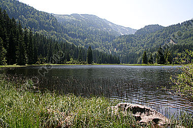 Obersee