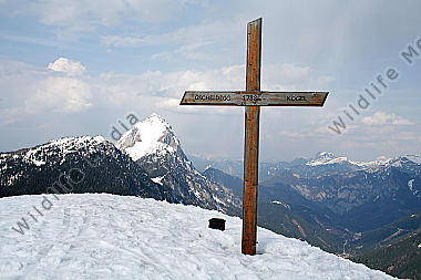 Gscheideggkogel