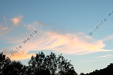 Rote Wolken