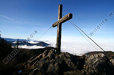Nebelmeer