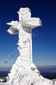 Gipfelkreuz Schneeberg