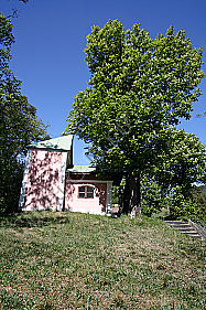 Rosskastanie