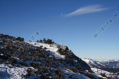 Gipfelkreuz mit Mond