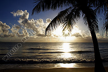 Sandstrand mit Palmen