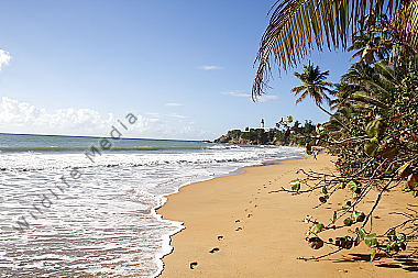 Sandstrand mit Palmen