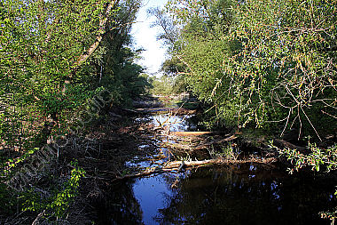 Auwald