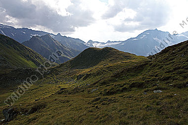 Bockhartsch