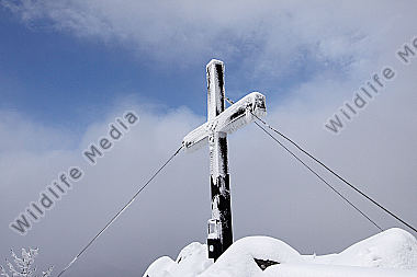 Gipfelkreuz Hohenstein mit Raureif