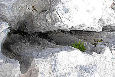 Karst