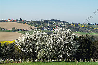 Österreich