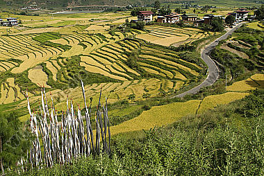 Bhutan, Punakha