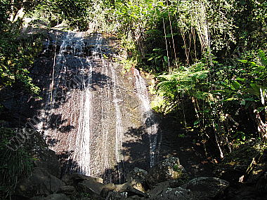 Regenwald Wasserfall