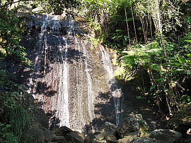 Regenwald Wasserfall