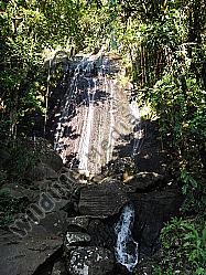 Regenwald Wasserfall