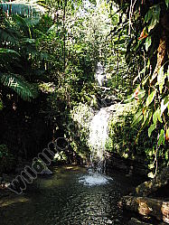 Regenwald Wasserfall