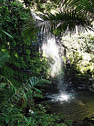 Regenwald Wasserfall