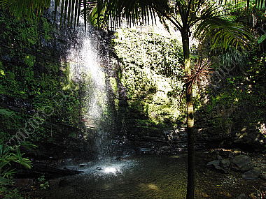 Regenwald Wasserfall