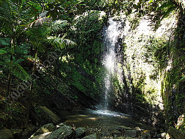 Regenwald Wasserfall