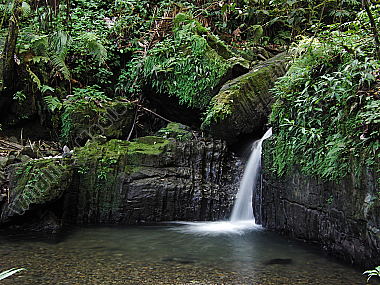 Regenwald Wasserfall