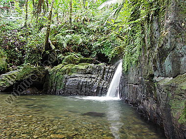 Regenwald Wasserfall