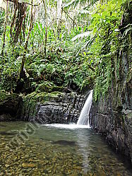 Regenwald Wasserfall