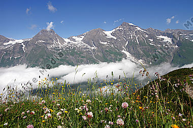 Großes Wiesbachhorn