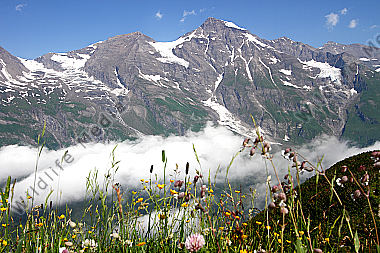Großes Wiesbachhorn