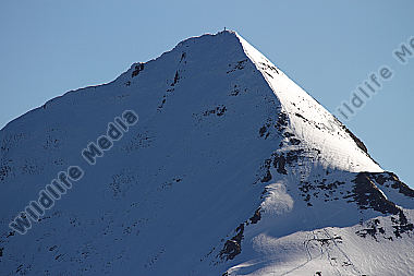 Großes Wiesbachhorn