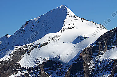 Großes Wiesbachhorn