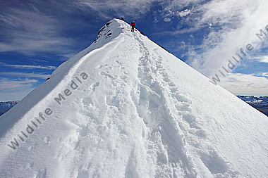 Großes Wiesbachhorn