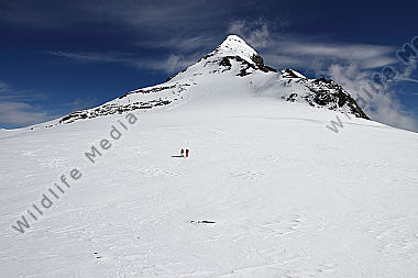 Großes Wiesbachhorn