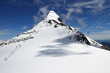 Großes Wiesbachhorn