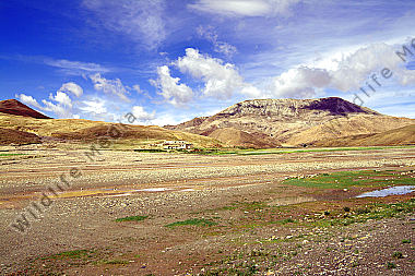 Tibet
