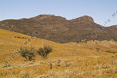 Australien South Australia