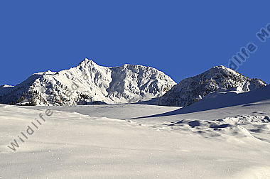 Österreich