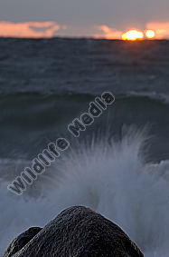 Wilde Ostsee