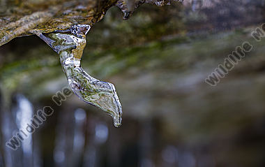 Eiszapfen