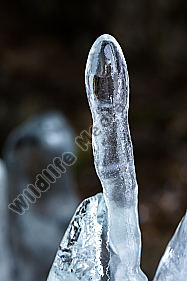 Eis