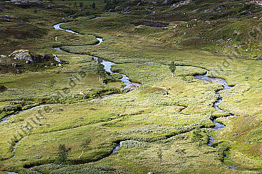 Moorgebiet im Hochfjell