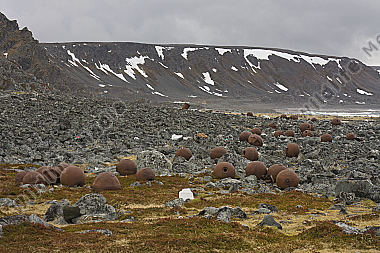 Strandgut
