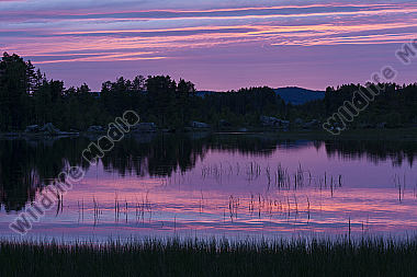 Abendstimmung