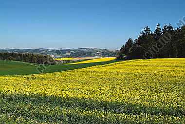 Österreich