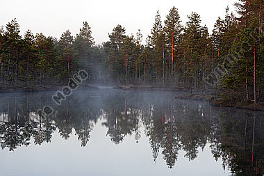 Moorsee