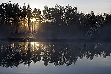 Moorsee