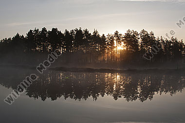 Moorsee